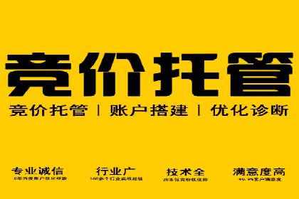 搜索引擎营销（SEM）的竞价策略优化案例